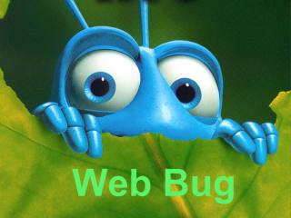 Cosa sono i bug del web, come riconoscerli ed evitarli