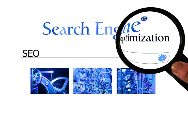 SEO (acronimo di Search Engine Optimization)